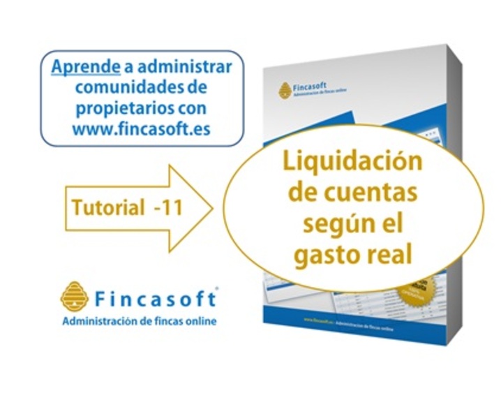 foto entrada blog_noticias/nueva-edicion-videotutorial-num-11-liquidacion-de-ingresos-y-gastos-segun-el-gasto-real//blog/imagen.jpg